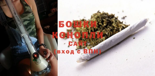 дурь Богданович