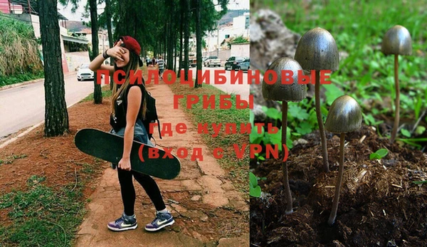 синтетический гашиш Беломорск